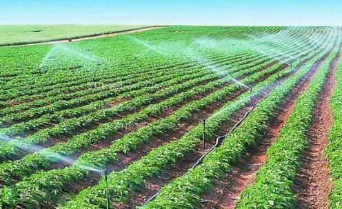 想看免费男人和女人日痞视频农田高 效节水灌溉